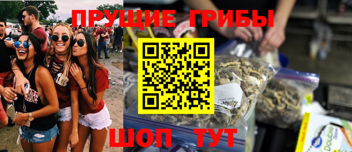 Мариинск  Псилоцибиновые грибы Psilocybe  Вход с VPN 